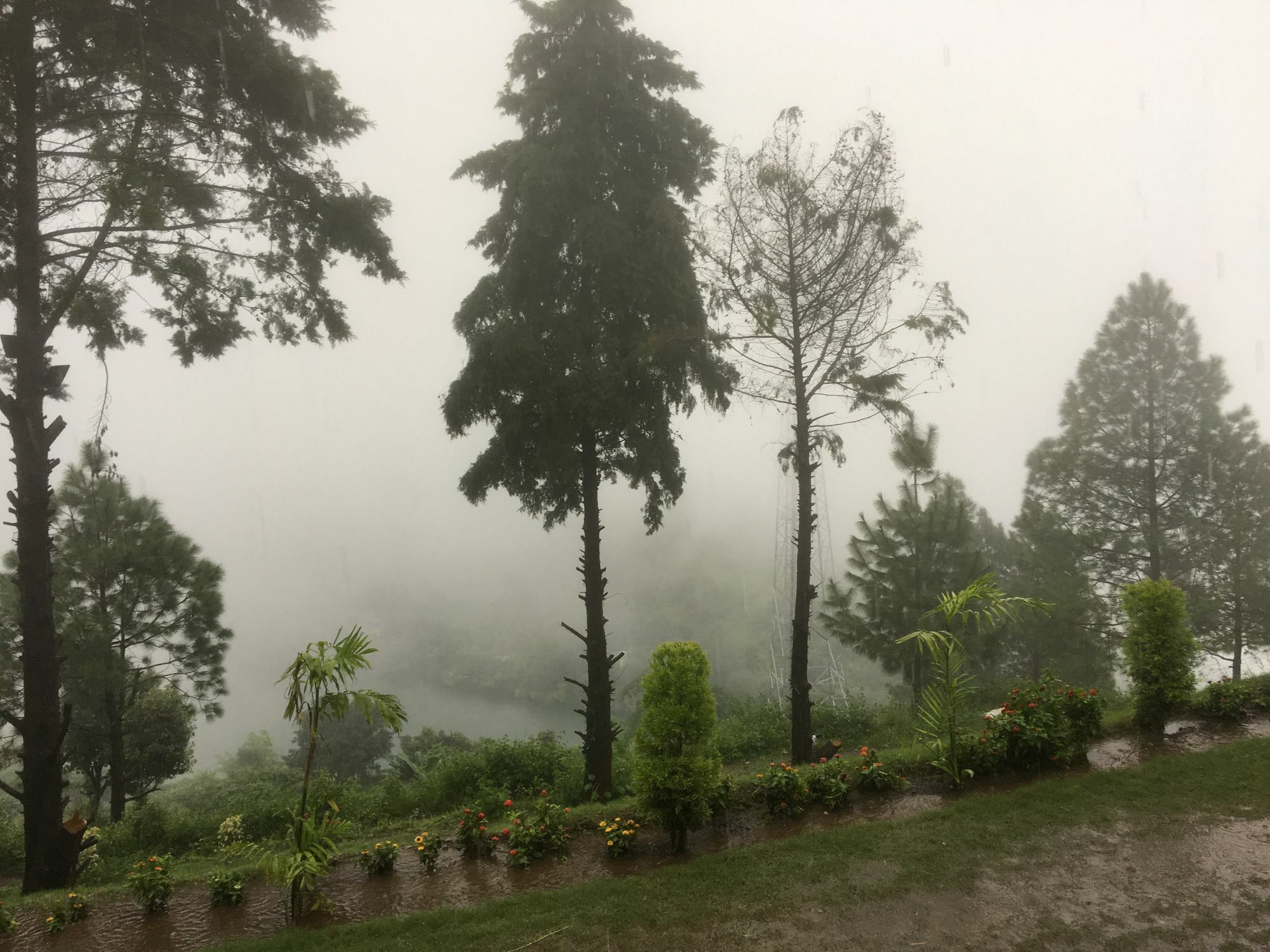 Nainital Adventure Park & Resort Exterior photo